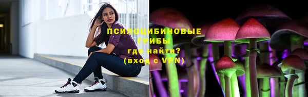 мескалин Елабуга