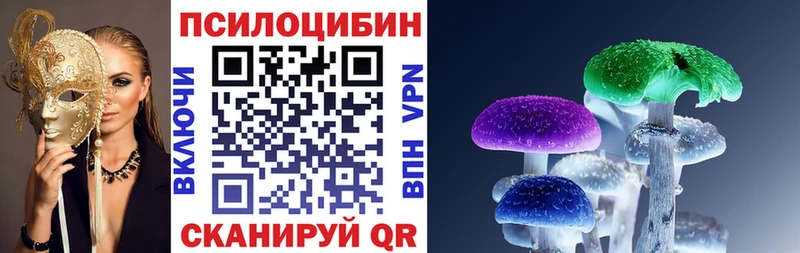 Купить закладки Микунь Галлюциногенные грибы Psilocybine cubensis